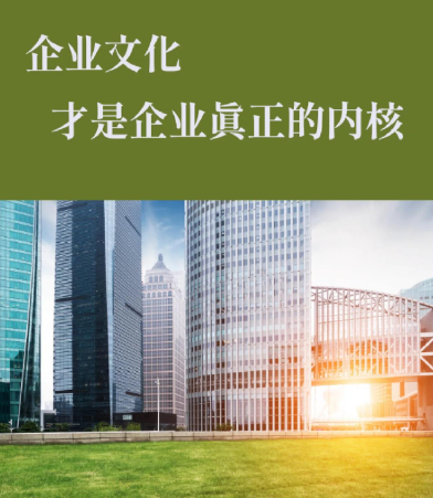 重庆老旧房屋结构改造加固技术要点与安全规范解析